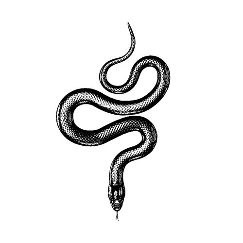 Snake