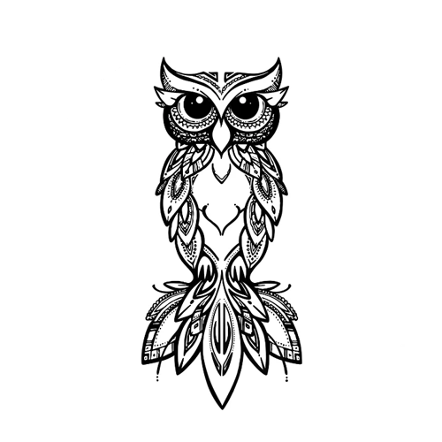 Owl