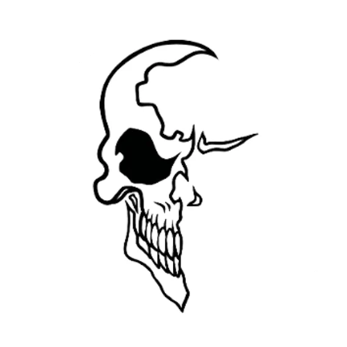 Skull