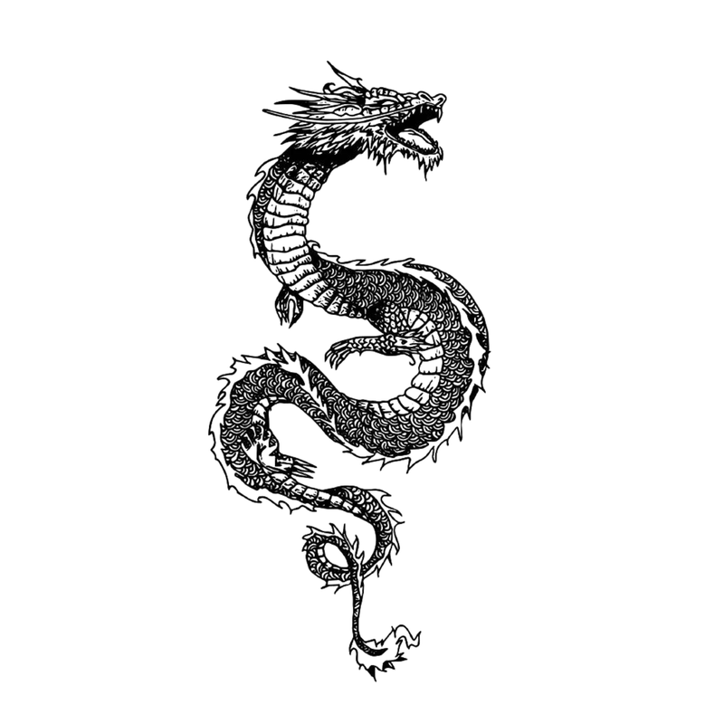 Japanese Dragon Tattoo 