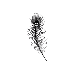 Peacock Feather Tattoos