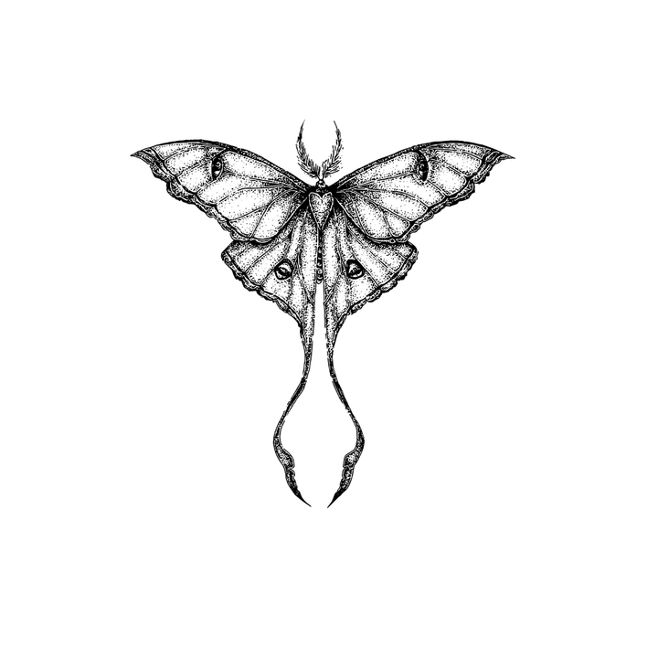 Celestial Moth tattoos