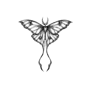 Celestial Moth tattoos
