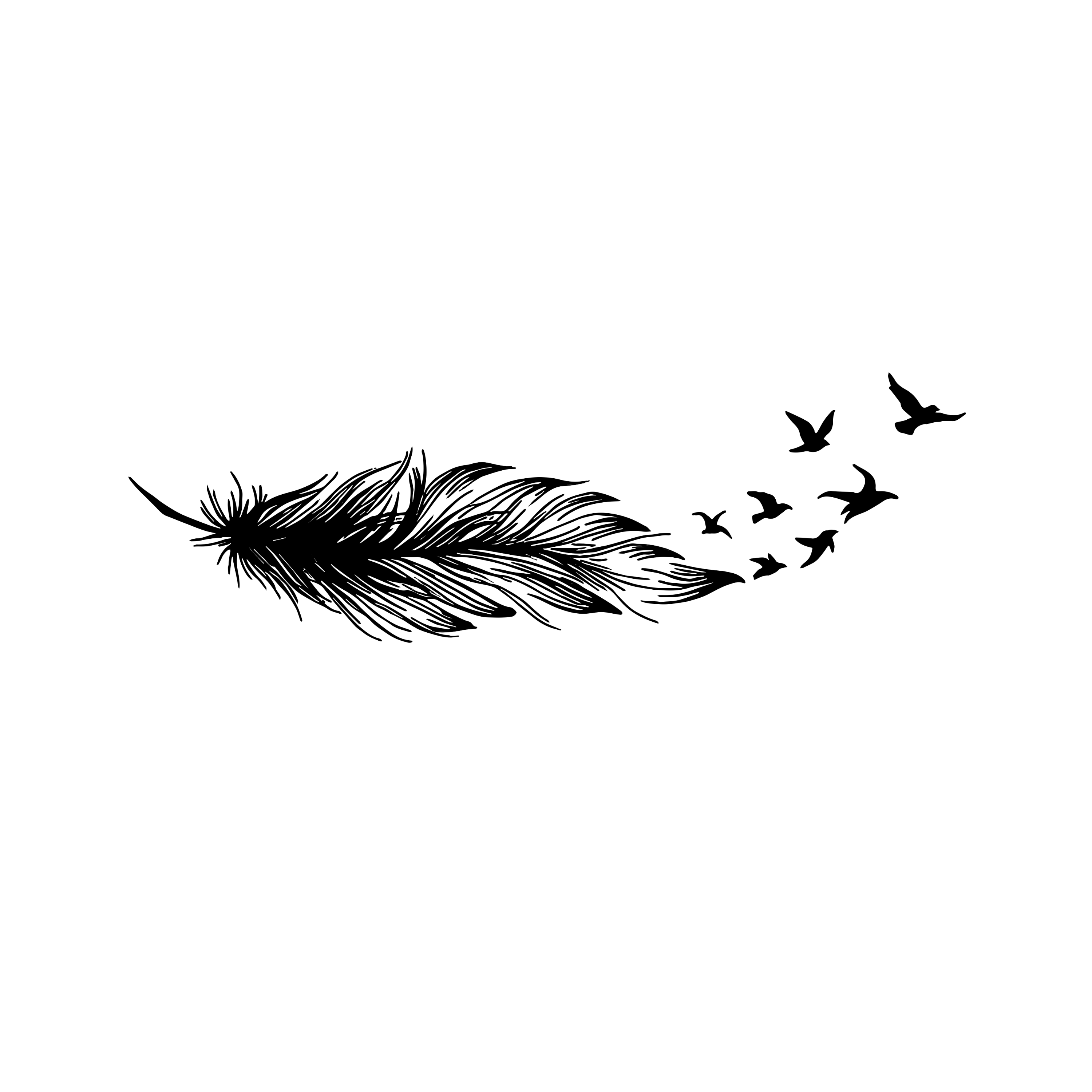 The Release