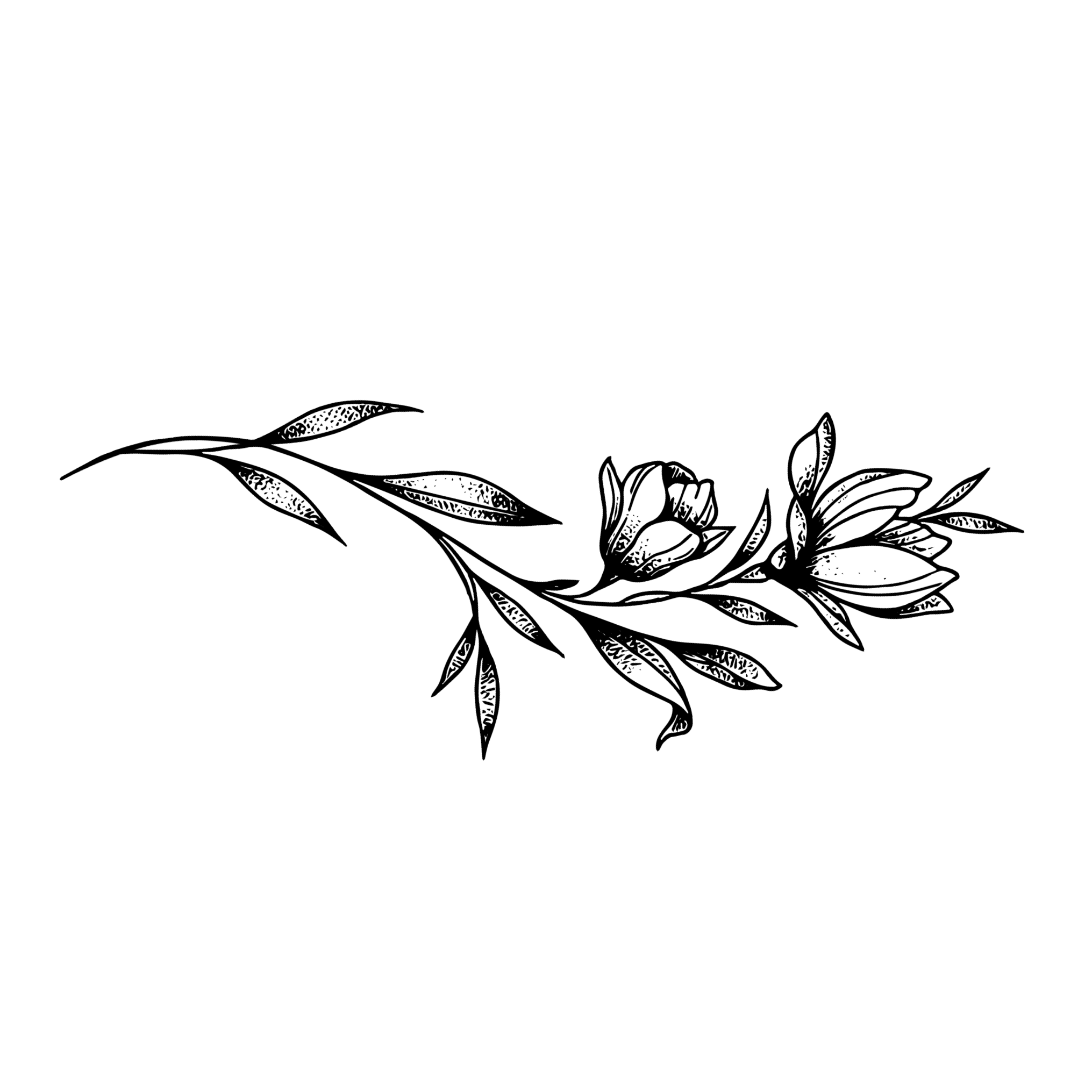 Soft Thorns