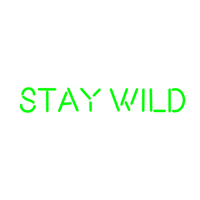 Stay Wild
