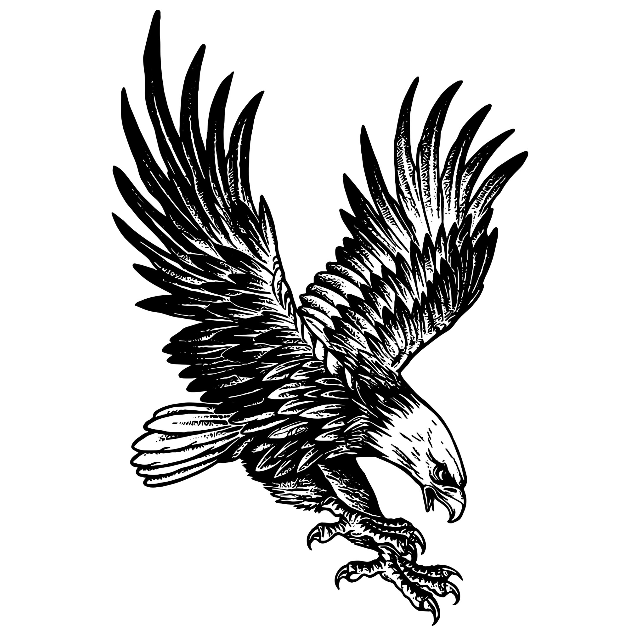 Black and white illustration of an eagle in flight on a white background