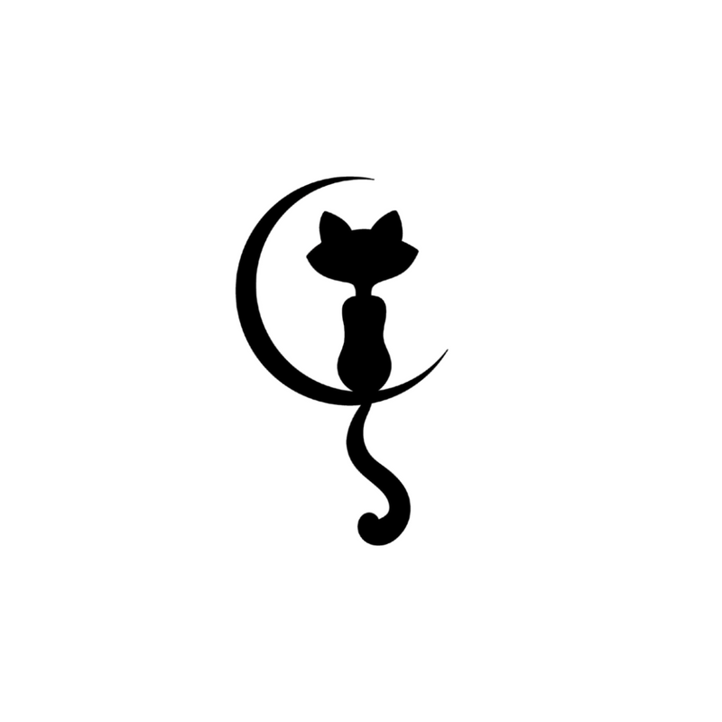 Cat On The Moon 