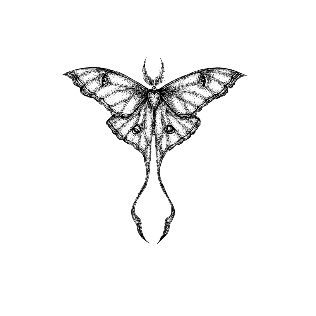 Celestial Moth tattoos 