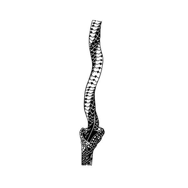 Endless Snake Semi Permanent Tattoos 