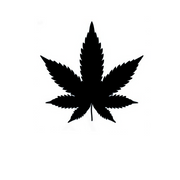 High Vibes Tattoo 