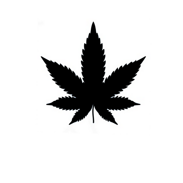 High Vibes Tattoo 