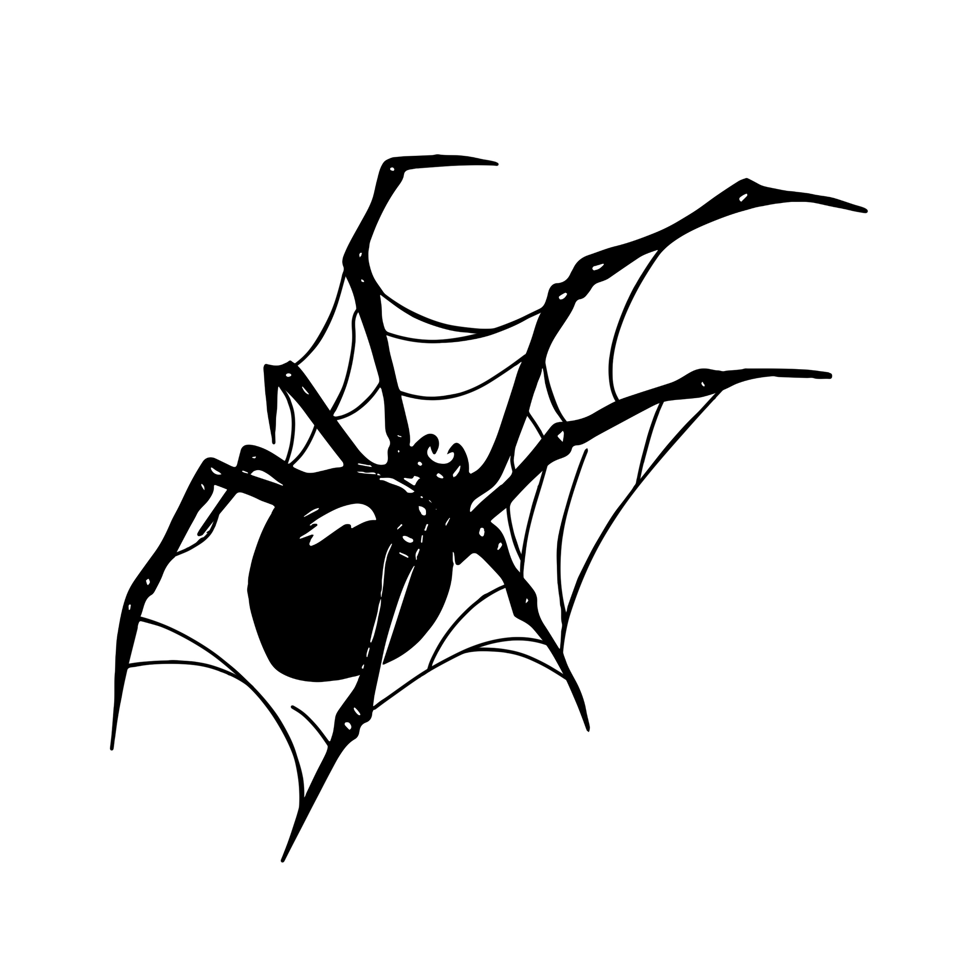 Black spider illustration on a white background