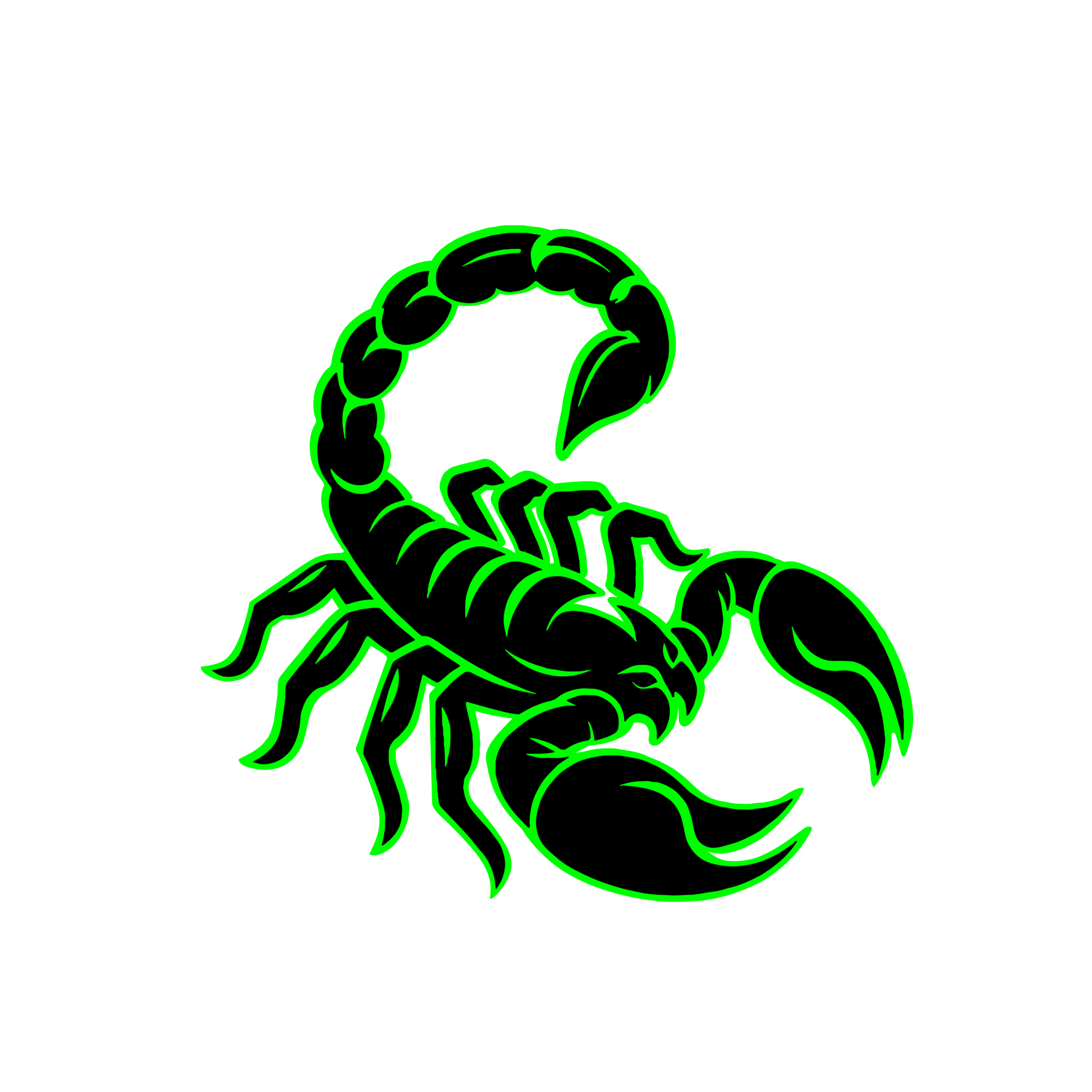 Bark Scorpion