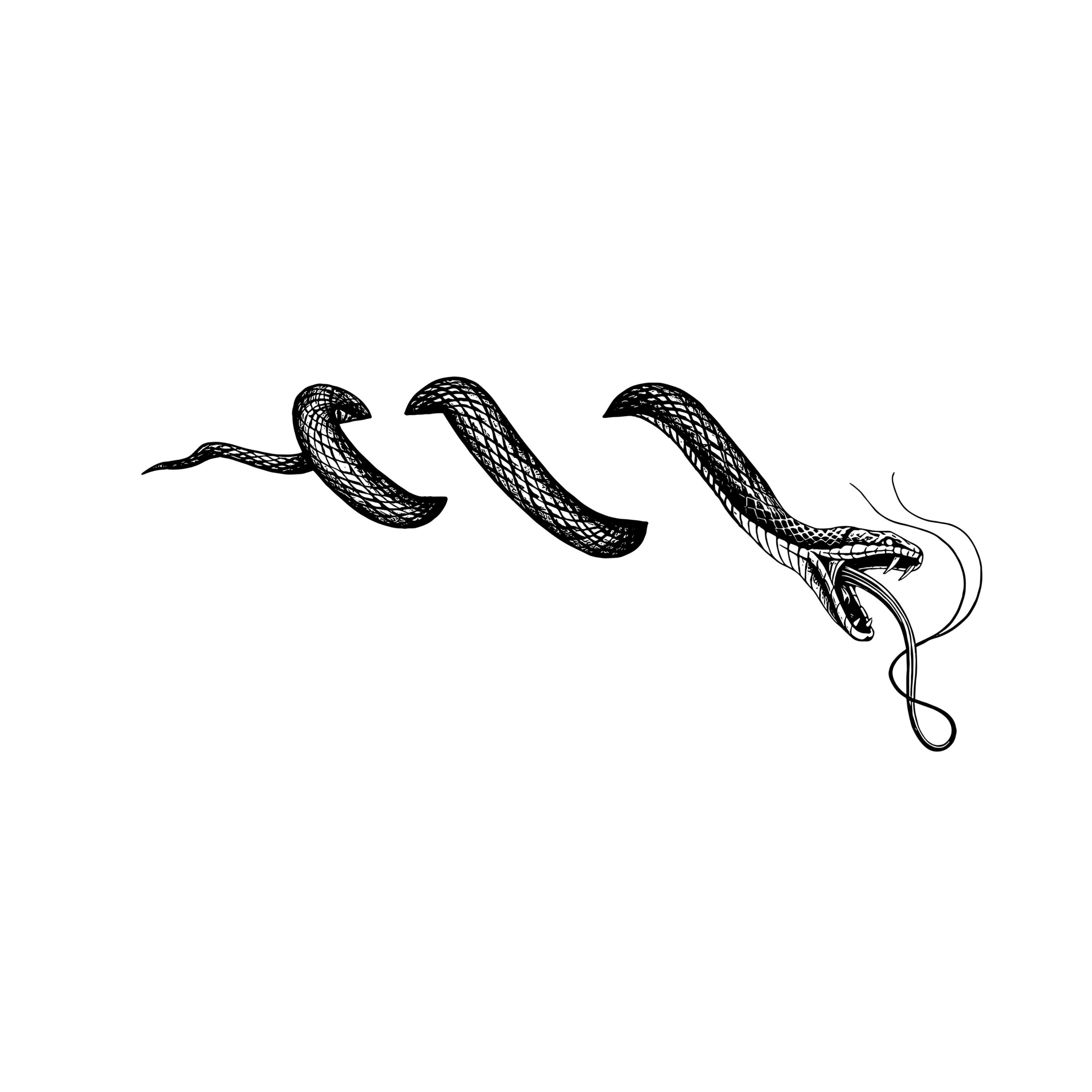 Contour Snake