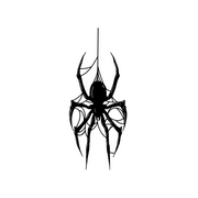 Black spider silhouette on a white background