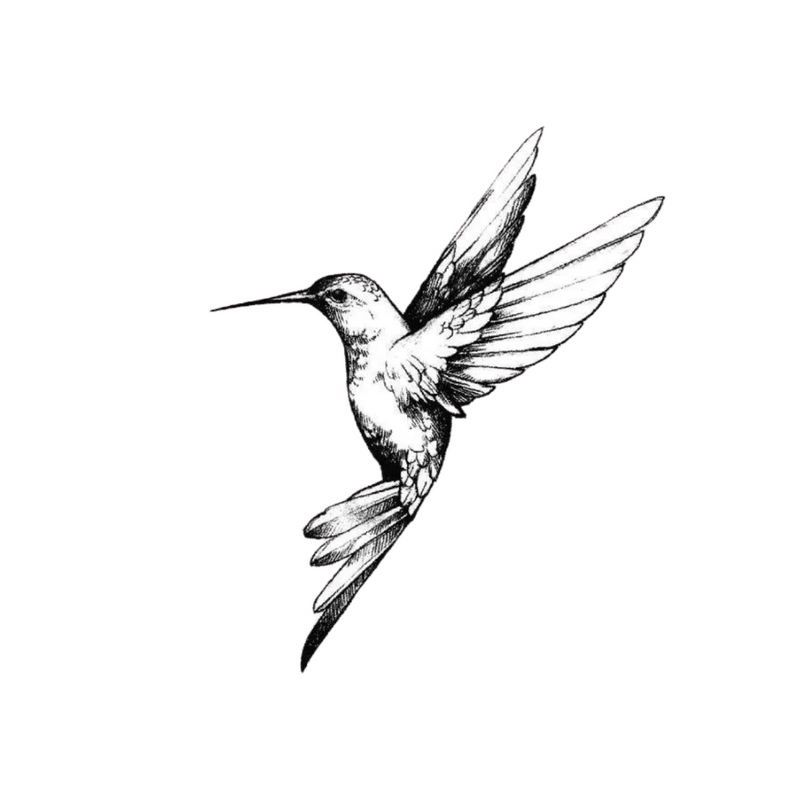 Humming Bird Tattoo 