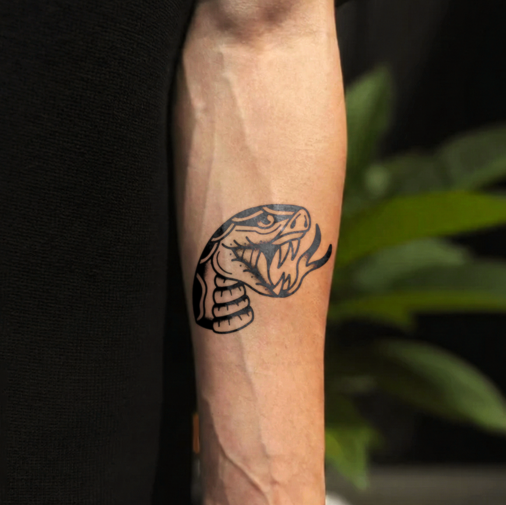 King Cobra