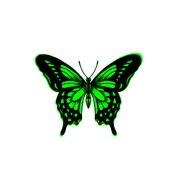 Midnight Butterfly TATTOOS