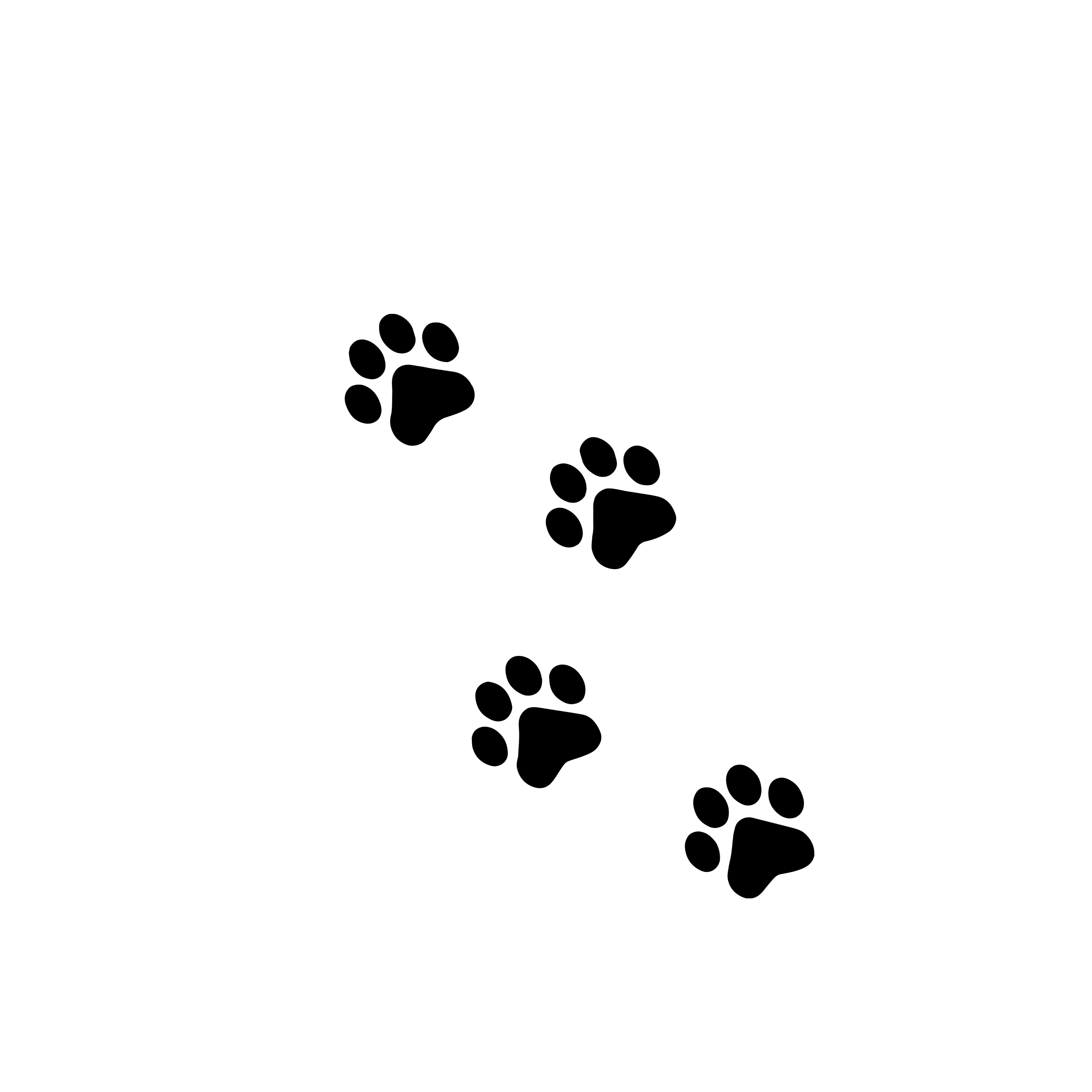 Paw Paw TATTOOS
