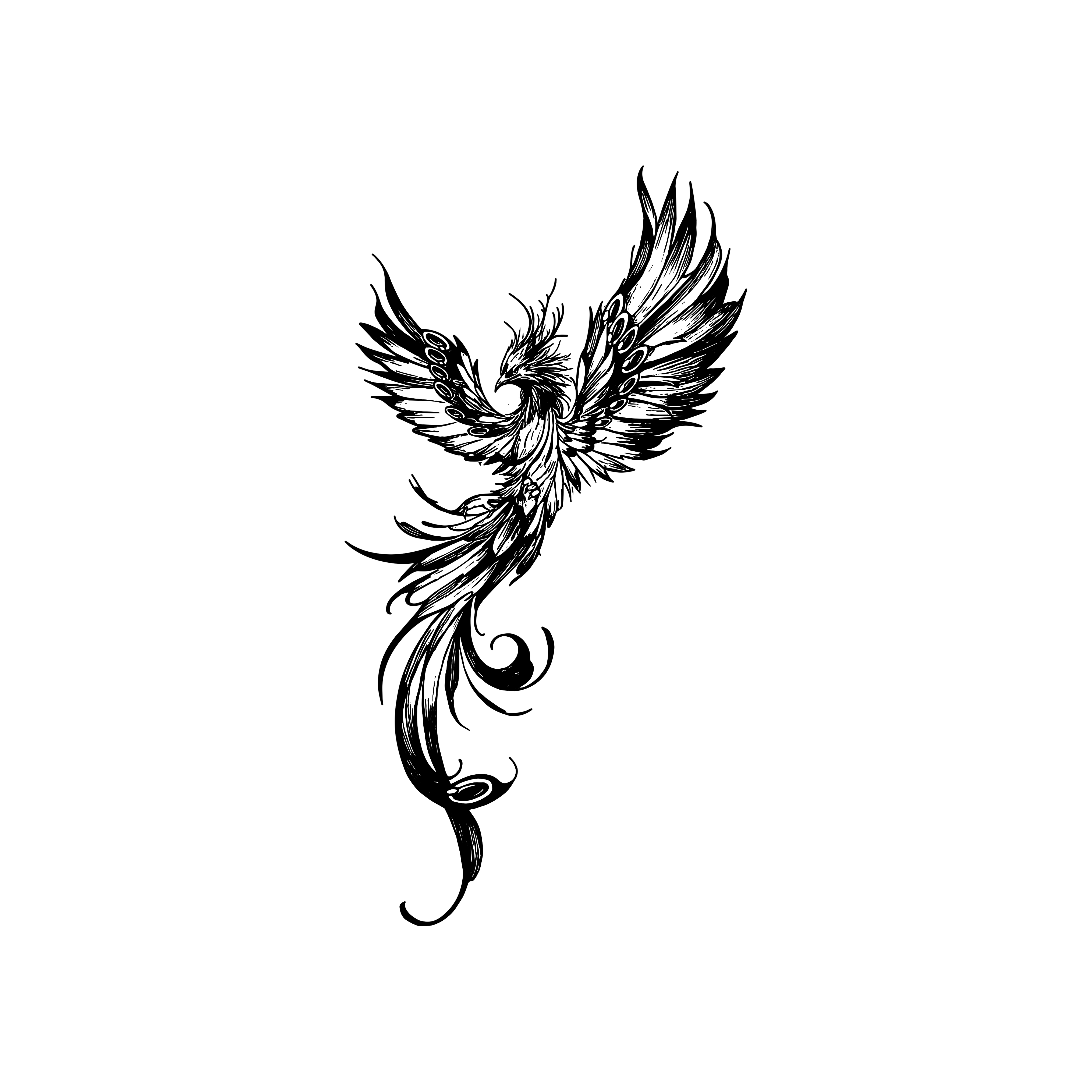 Phoenix Born