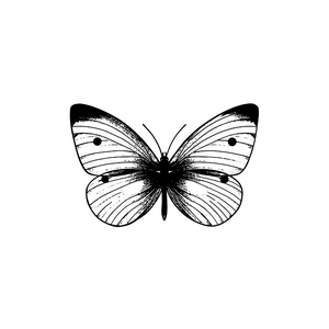 Wings of Change Tattoo