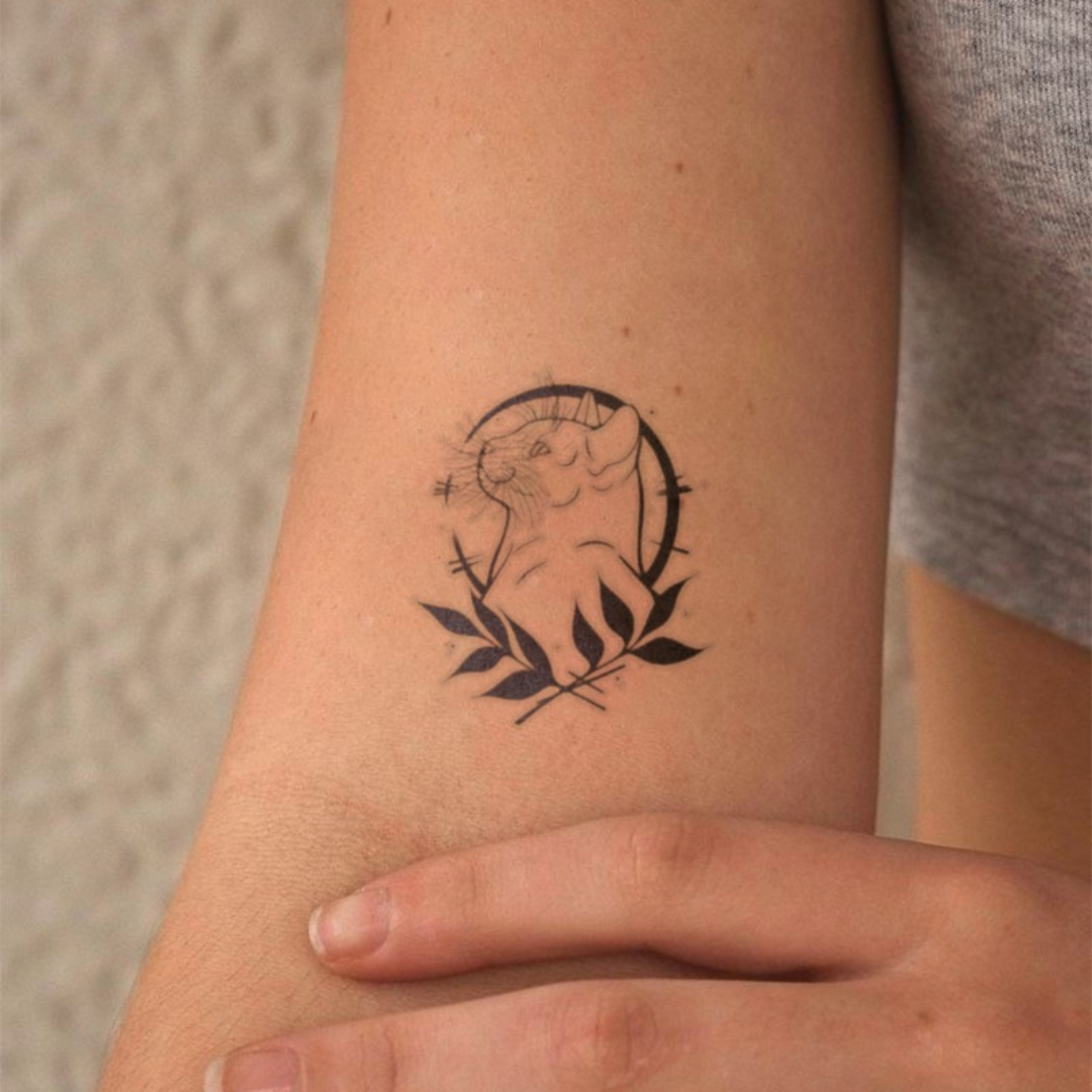 Whisker Wilds Tattoo on arm