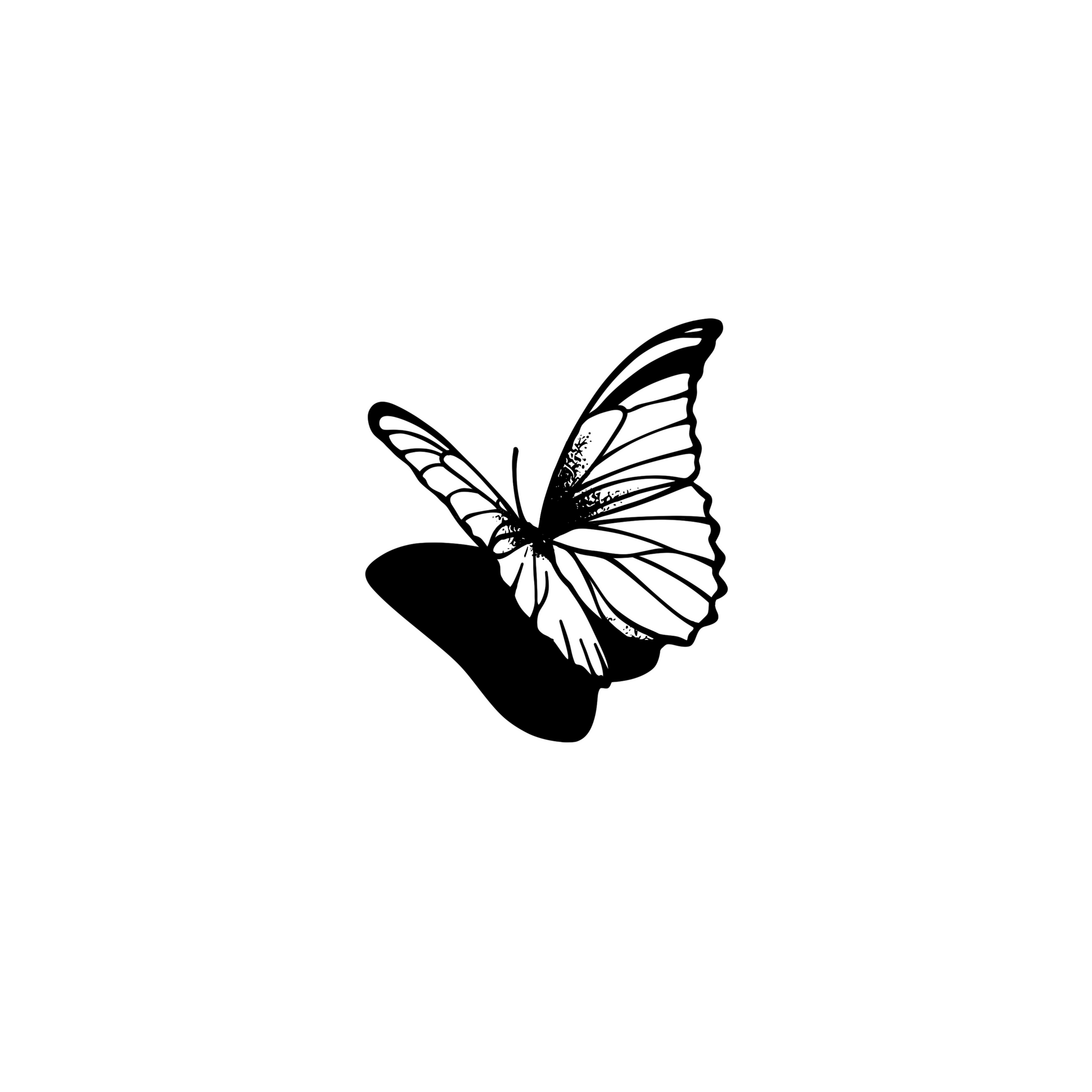 Whispering Wings