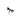 Butterfly_Larvae