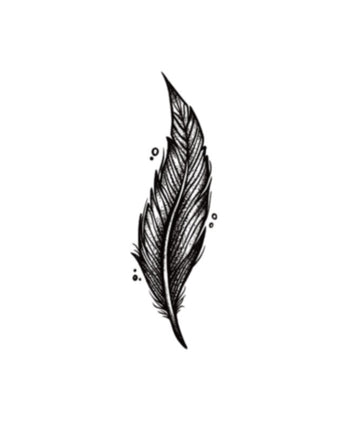 A Great Feather