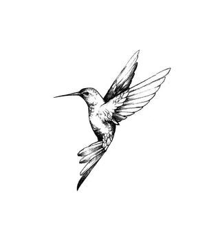 Humming-Bird